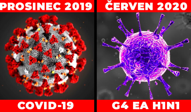 V Číně se objevil nový typ viru! Je horší než COVID-19?